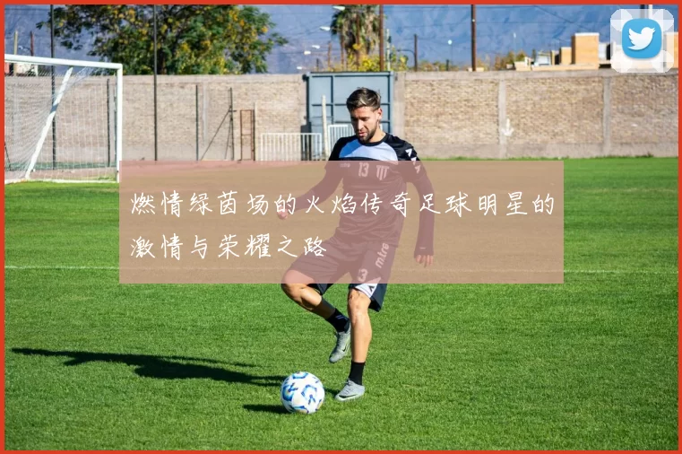 燃情绿茵场的火焰传奇足球明星的激情与荣耀之路