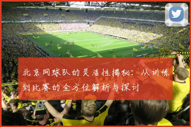 北京网球队的灵活性揭秘：从训练到比赛的全方位解析与探讨