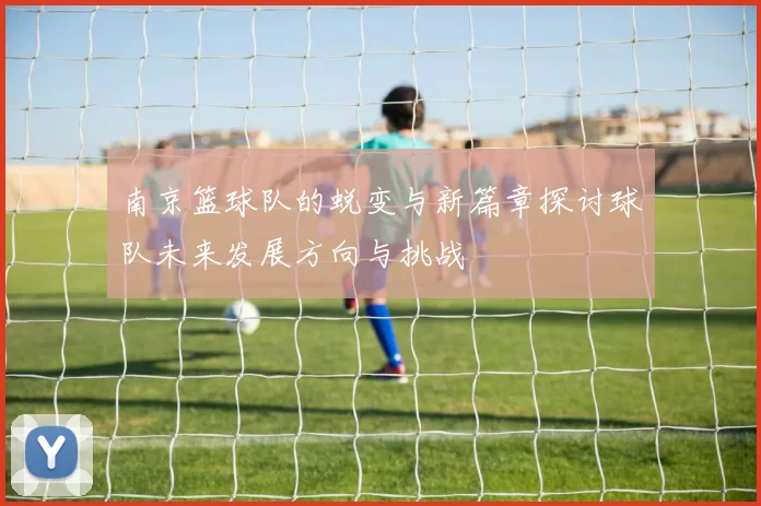 南京篮球队的蜕变与新篇章探讨球队未来发展方向与挑战