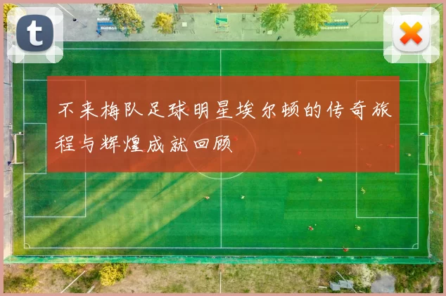 不来梅队足球明星埃尔顿的传奇旅程与辉煌成就回顾