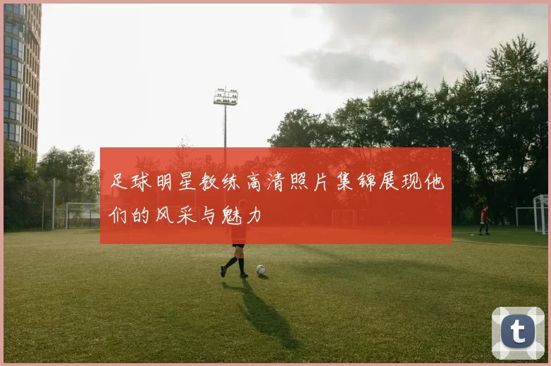 足球明星教练高清照片集锦展现他们的风采与魅力